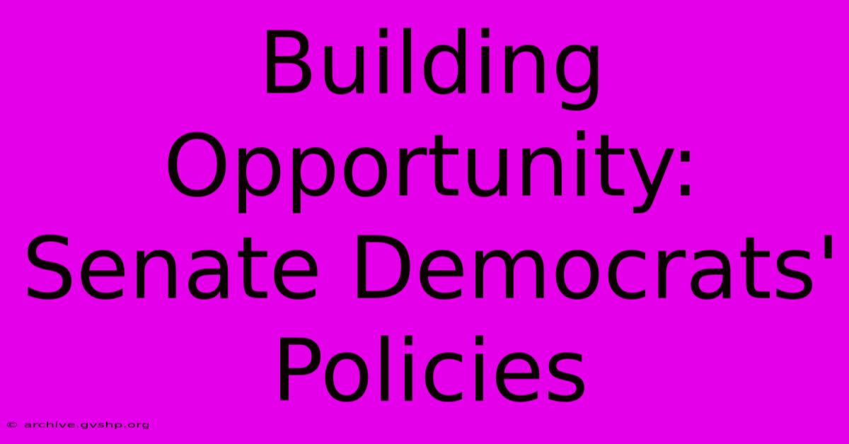 Building Opportunity: Senate Democrats' Policies