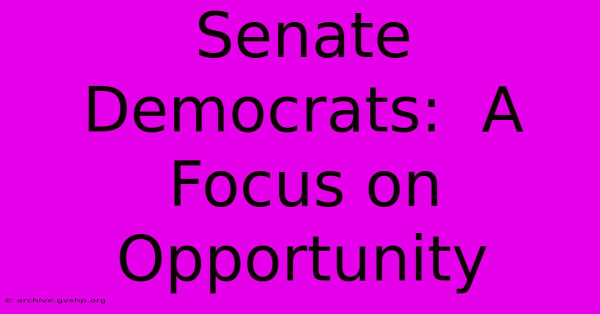 Senate Democrats:  A Focus On Opportunity