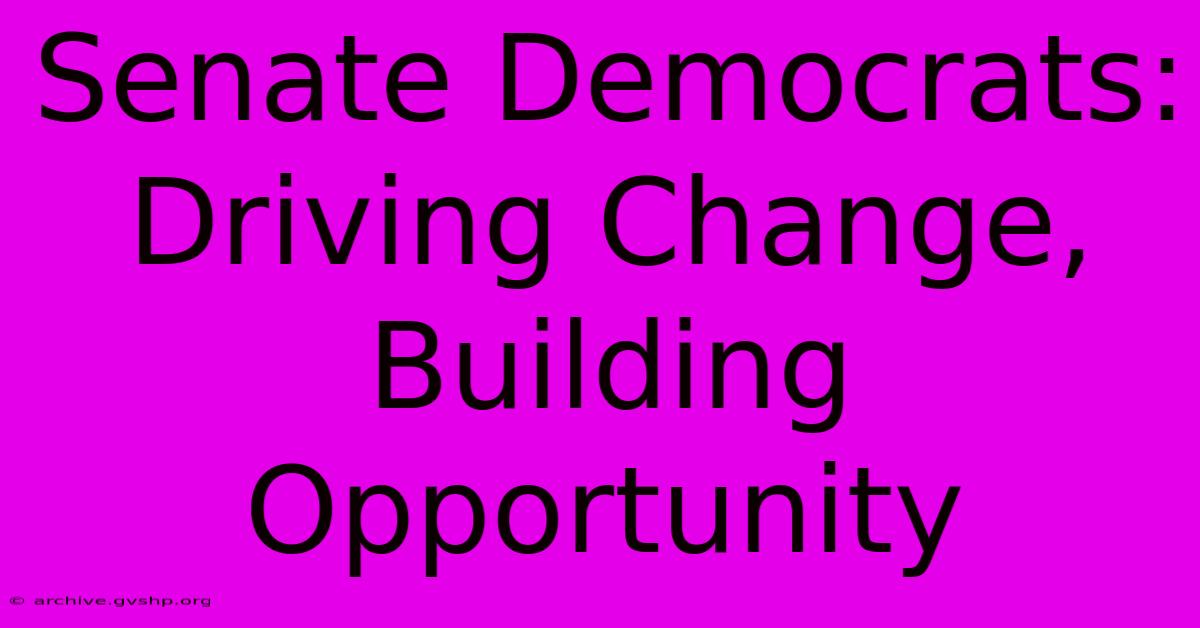 Senate Democrats: Driving Change, Building Opportunity