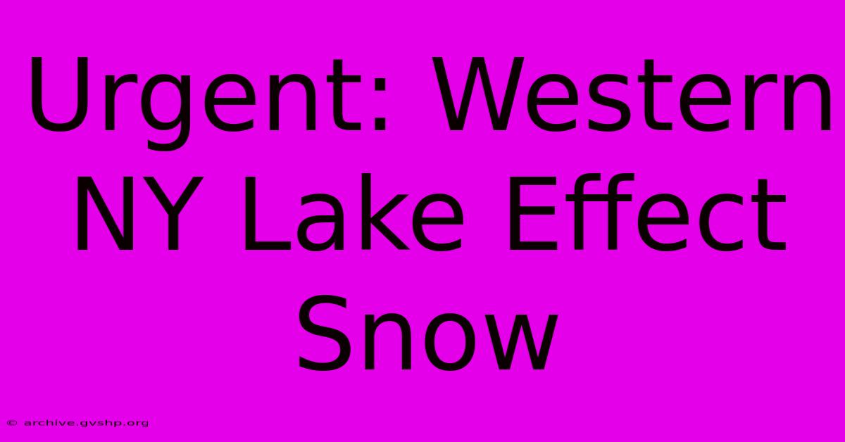 Urgent: Western NY Lake Effect Snow